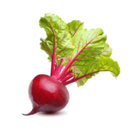 Vegan Fresh Radish