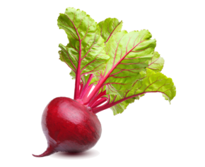 Vegan Fresh Radish